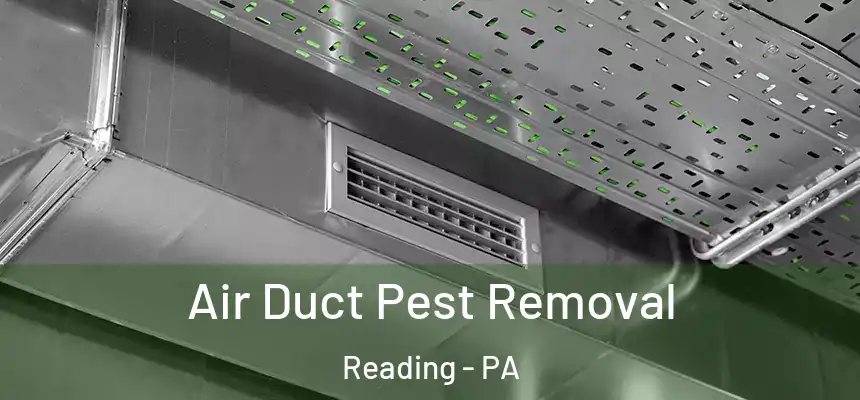 Air Duct Pest Removal Reading - PA