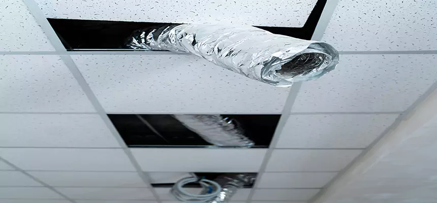 Our Air Duct Pet Hair Removal Services in Reading, PA