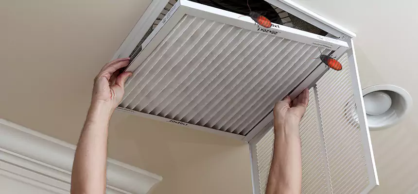 Our Insect Removal from Air Ducts Services in Reading, PA