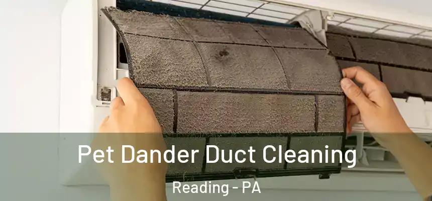  Pet Dander Duct Cleaning Reading - PA