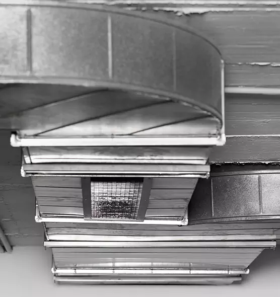 Professional Air Duct Pet Hair Removal in Reading, PA