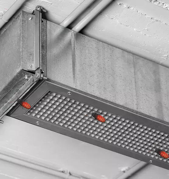 Affordable Insect Removal from Air Ducts in Reading, PA
