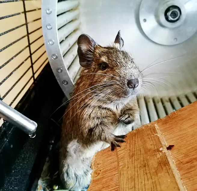 Why Homeowners & Businesses Trust Us Reading, PA