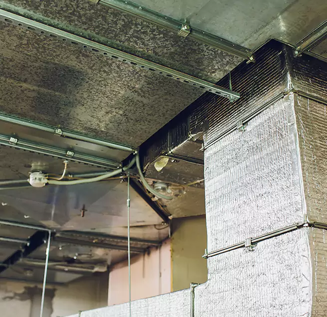 Why Homeowners & Businesses Trust Us in Reading, PA?